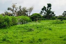 Verger Fruitier de 5835 m² à Mont Rolland