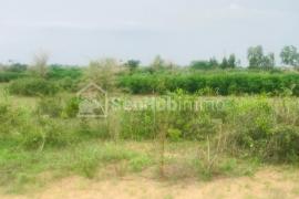 Terrain Agricole de 7045 m² à Notto Gouye Diama