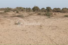 Verger Fruitier de 3 Hectares à Notto Gouye Diama
