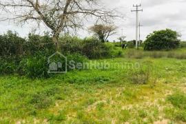 Terrain Agricole de 4294 m²à Notto Gouye Diama