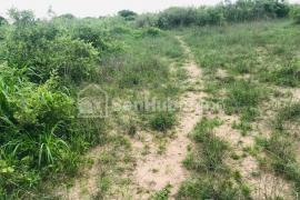 Terrain Agricole de 1,62 hectare à Notto Gouye Diama