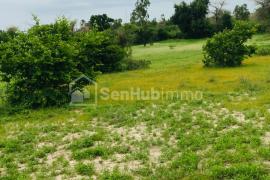 Terrain Agricole de 8079 m² à Notto Gouye Diama