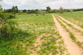 Terrain Agricole de 1,36 hectare à Notto Gouye Diama