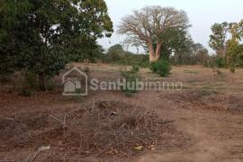 Ferme Agricole de 21 Hectares à Keur Moussa