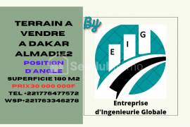 TERRAIN D'ANGLE A VENDRE A DAKAR ALMADIE 2 SORTIE PEAGE n°9