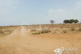 Plus de 200 hectares en première position route de moroland  7 km de Thiès du centre ville de Thiès