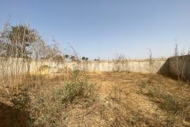 Terrain en vente à Saly