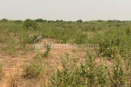 TERRAIN A VENDRE DIASS LANDOU