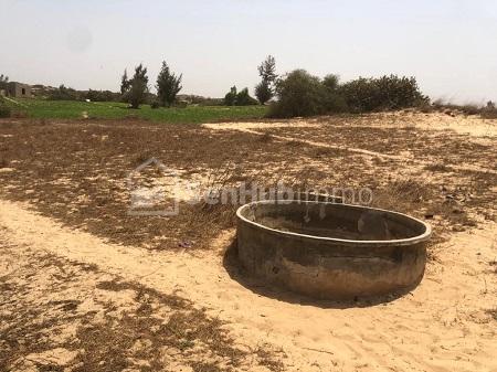 Verger Agricole de 4883 m² à Kayar