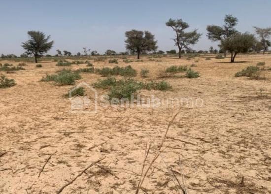 Terrain Agricole de 3021 m² à Keur Amary Coumba