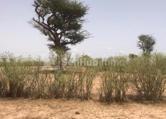 Terrain Agricole de 2160 m² à Tassette