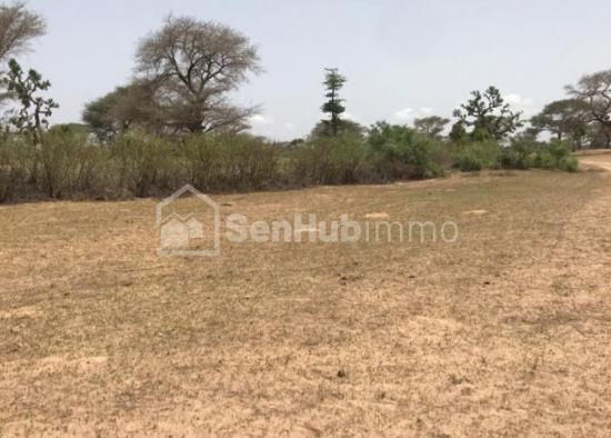 Terrain Agricole de 1,72 hectare à Tassette