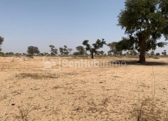 Terrain Agricole de 2146 m² à Tassette