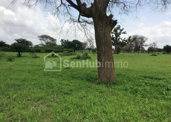 Terrain Agricole de 1,05 hectare à Tassette