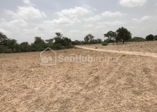 Terrain Agricole de 8223 m² à Notto Diobass