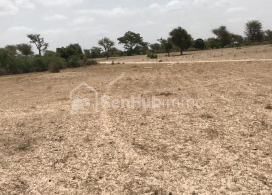 Terrain Agricole de 8223 m² à Sangane Wolof