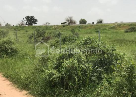 Terrain Agricole de 23,49 hectares à Keur Malamine