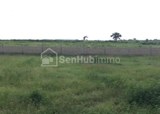 Terrain Agricole de 1,53 hectare à Mbodiène