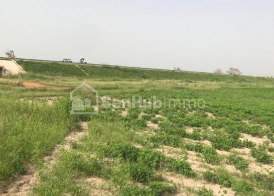 Terrain Agricole de 5885 m² à Thiénabat