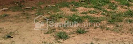 Ferme Agricole de 2500 m² à Keur Moussa