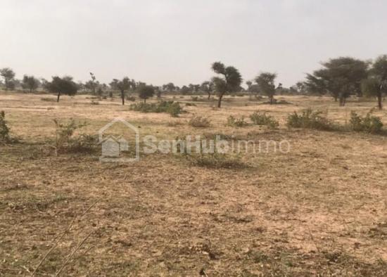 Terrain Agricole de 7,05 hectares à Koul