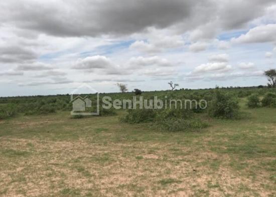 Terrain Agricole de 1,05 hectare à Tassette