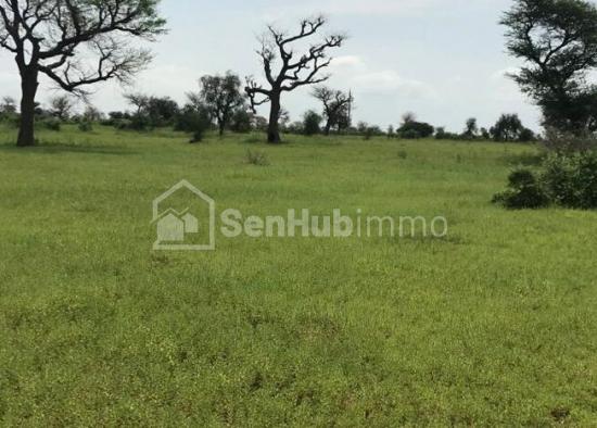 Terrain Agricole de 5 hectares à Khombole