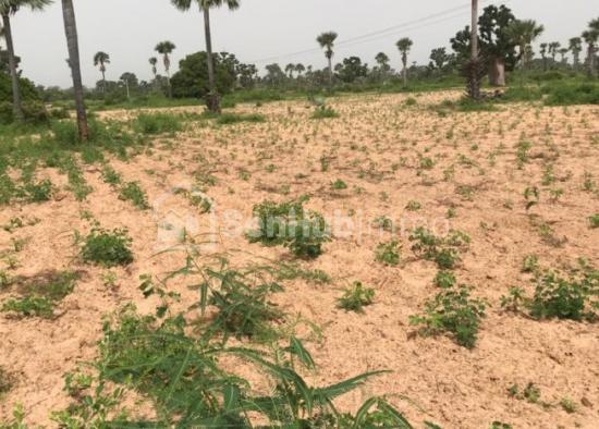 Terrain Agricole de 2,29 hectares à Keur Mamarame
