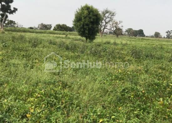 Terrain Agricole de 2,39 hectares à Louly Bentagne