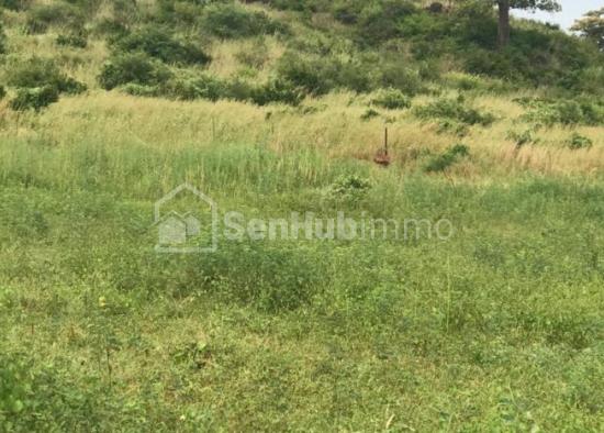 Terrain Agricole de 1,62 hectare à Toubab Dialaw