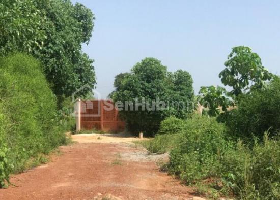 Terrain Agricole de 3757 m²  à Yénne