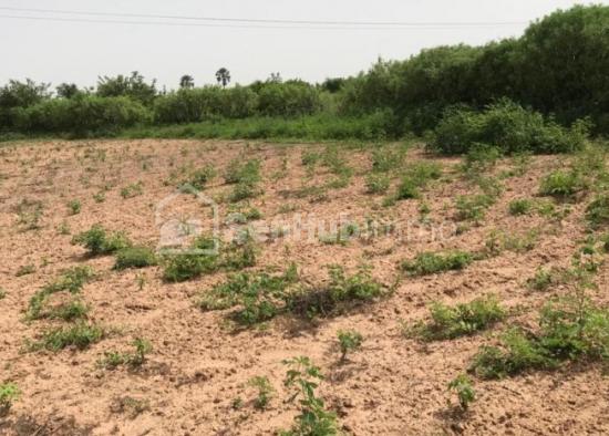 Terrain Agricole de 2,29 hectares à Keur Mamarame