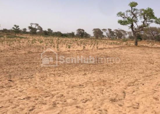 Terrain Agricole de 2146 m² à Keur Cheikh Madiop