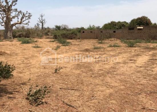 Terrain Agricole de 6450 m² à Khaye