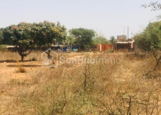 Ferme Avicole de 2,52 hectares à Yenne