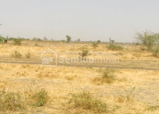 Terrain Agricole de 7,87 hectares à Ngueniene