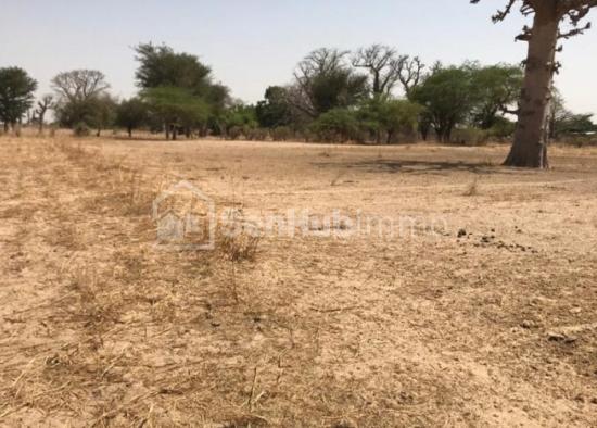 Terrain Agricole de 2,66 hectares à Sésséne