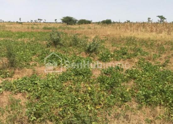 Terrain Agricole de 1,15 hectare à Sandiara