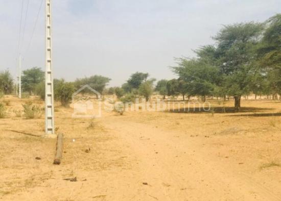 Terrain Agricole de 03 hectares à Koul