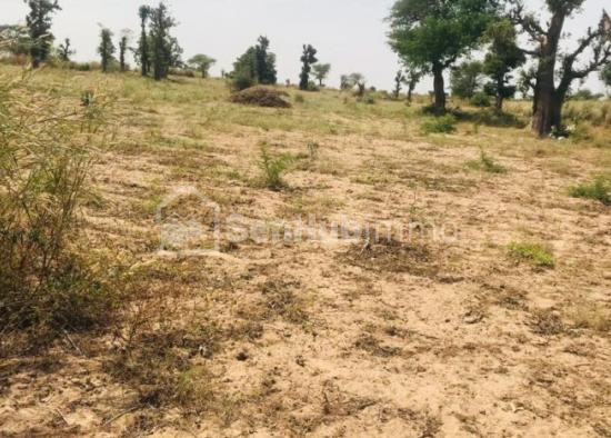 Terrain Agricole de 1,63 hectare à Pire