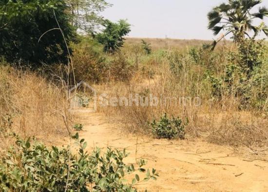 Terrain Agricole de 1,22 hectare à Yénne