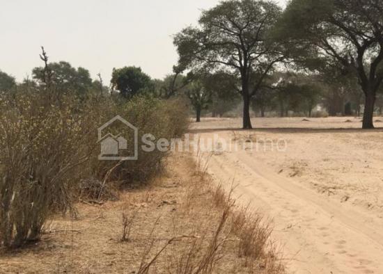 Terrain Agricole de 1,06 hectare à Tassette