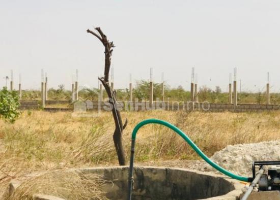 Verger Agricole de 3,01 hectares à Ngueniene