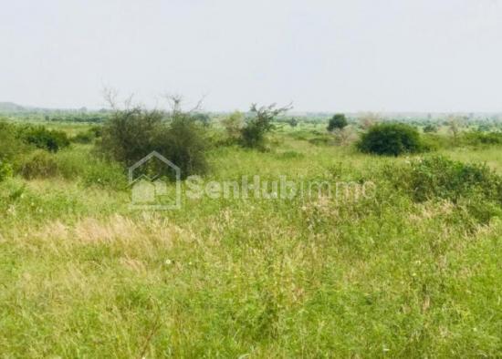 Terrain Agricole de 2,03 hectares à Toubab Dialaw
