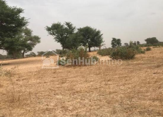 Terrain Agricole de 13,74 hectares à Tassette