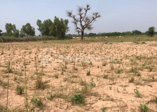 Terrain Agricole de 6156 m² à Sésséne