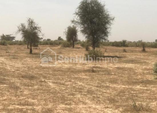 Terrain Agricole de 33,47 hectares à  Koul
