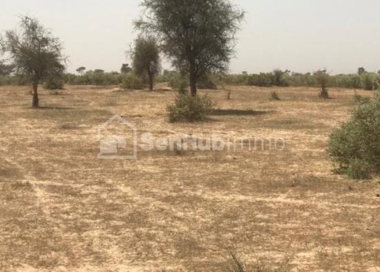 Terrain Agricole de 100 hectares à Koul