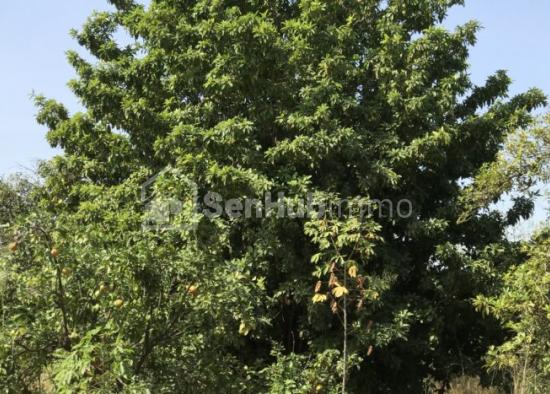 Ferme Agricole de 5,5 hectares à Pout