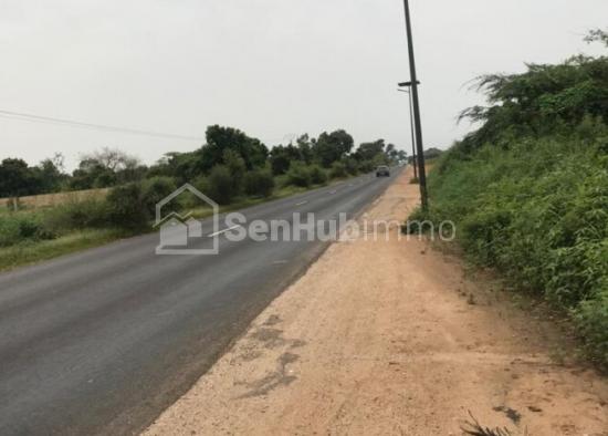 Verger Fruitier de 8,23 hectares à Sindia